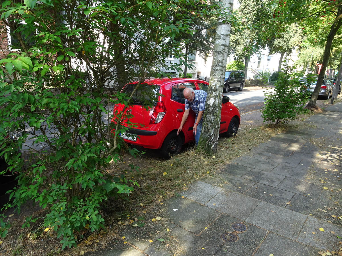 Scharnhorststraße: Parken auf Baumwurzeln